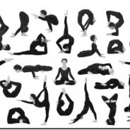 Йога для Начинающих 20 Занятий